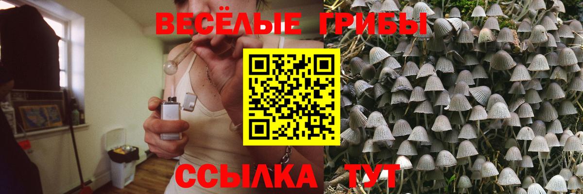 Галлюциногенные грибы MAGIC MUSHROOMS Архангельск